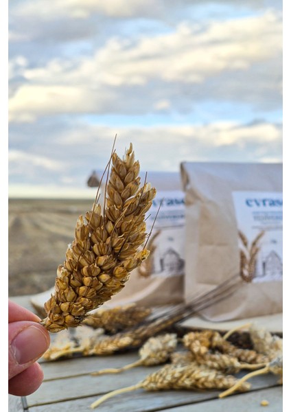 Atalık Yediveren Unu 1 kg (Hediyelik Paket)