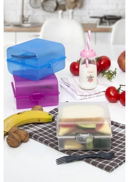 860 cc Naturel Beslenme Kutusu