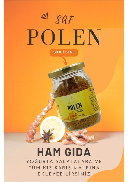 Polen 100GR modelleri