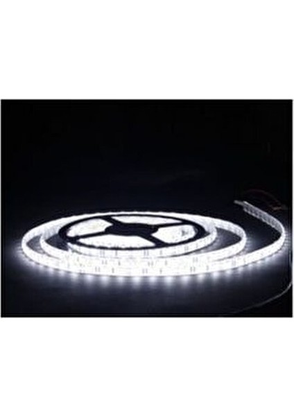 Tek Çipli Iç Mekan Silikonsuz Şerit LED 5 Metre 12 Volt