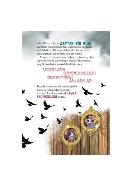 Maxi ve Helium 1. Bölüm: Duvardaki Deliğin Gizemi - Camilla Brinck