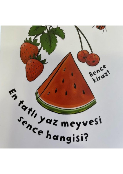 Ne Sorsan Bilir Minik: Mevsimler - Ceren Çukadar