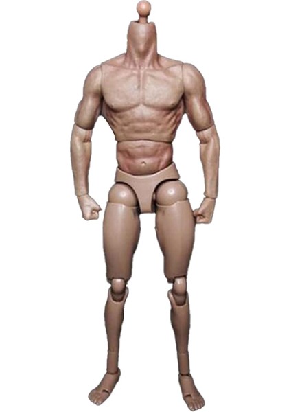 TTM18 TTM19 Için Dar Omuzlu Erkek Vücut Bebek Aksiyon Figürü (Yurt Dışından)