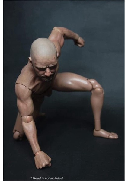 TTM18 TTM19 Için Dar Omuzlu Erkek Vücut Bebek Aksiyon Figürü (Yurt Dışından) fırsatları