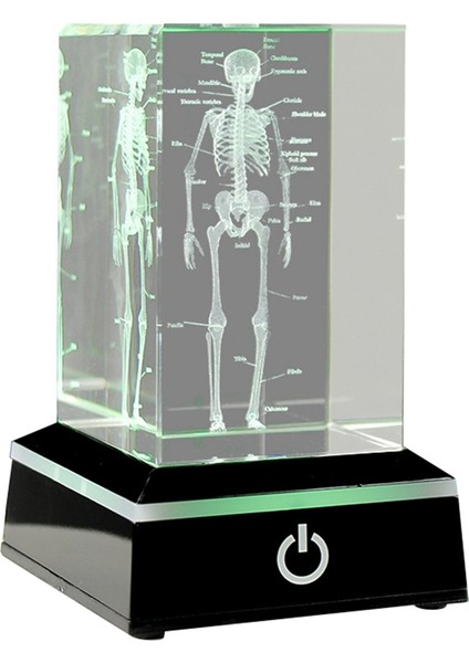 3D Lazer Kazınmış Insan Iskeleti Kristal Küp Figürleri, A (Yurt Dışından)