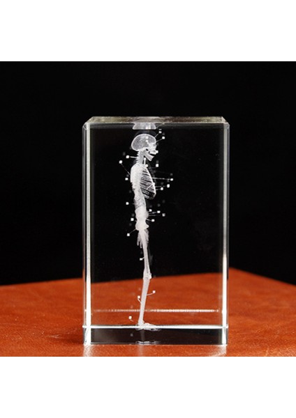 3D Lazer Kazınmış Insan Iskeleti Kristal Küp Figürleri, A (Yurt Dışından) fiyatları