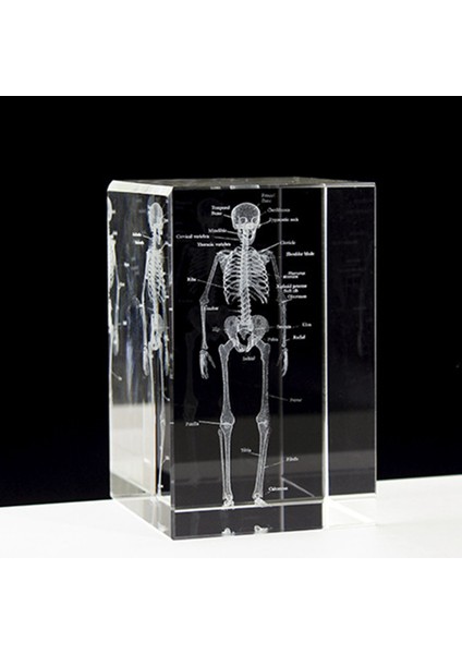 3D Lazer Kazınmış Insan Iskeleti Kristal Küp Figürleri, A (Yurt Dışından) modelleri