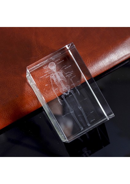 3D Lazer Kazınmış Insan Iskeleti Kristal Küp Figürleri, A (Yurt Dışından) fırsatları