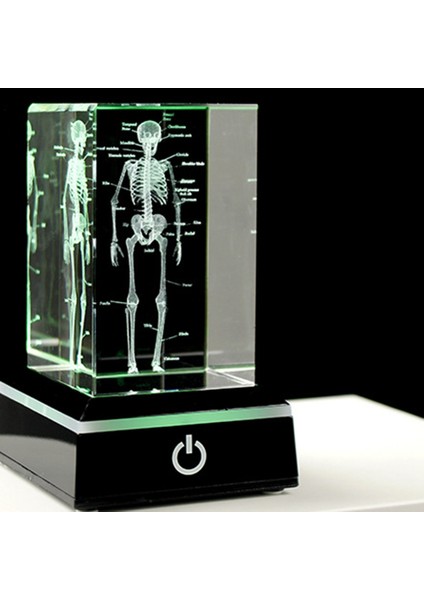 3D Lazer Kazınmış Insan Iskeleti Kristal Küp Figürleri, A (Yurt Dışından) indirimleri