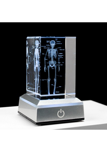 3D Lazer Kazınmış Insan Iskeleti Kristal Küp Figürleri, B (Yurt Dışından) modelleri