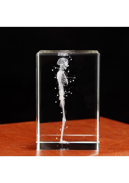 3D Lazer Kazınmış Insan Iskeleti Kristal Küp Figürleri, B (Yurt Dışından) fırsatları