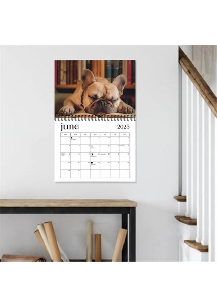 2025 Köpek Duvar Takvimi Komik Uykucu Köpek Desen Takvimi (Yurt Dışından)
