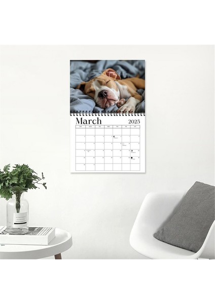 2025 Köpek Duvar Takvimi Komik Uykucu Köpek Desen Takvimi (Yurt Dışından)
