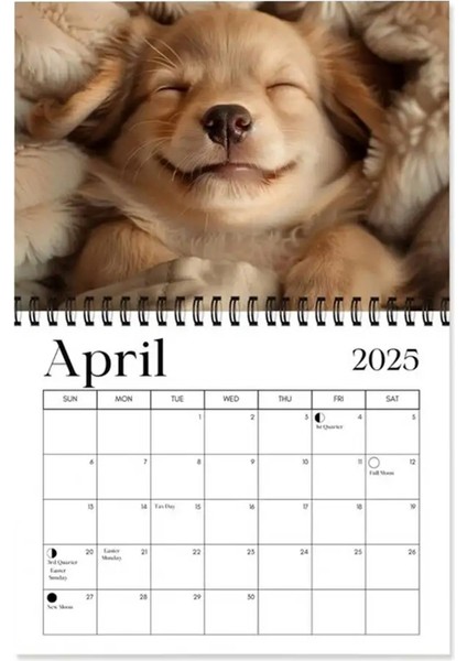 2025 Köpek Duvar Takvimi Komik Uykucu Köpek Desen Takvimi (Yurt Dışından)