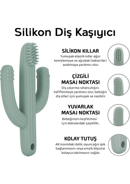 2'li Bebek Diş Kaşıyıcı Seti - Silikon Diş Kaşıma Emziği, Kaktüs Silikon Diş Kaşıyıcı - Yeşil fiyatları