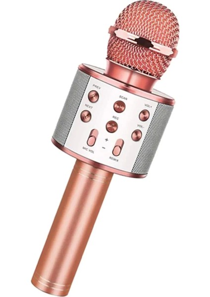 Bluetooth Karaoke Mikrofon (4887)