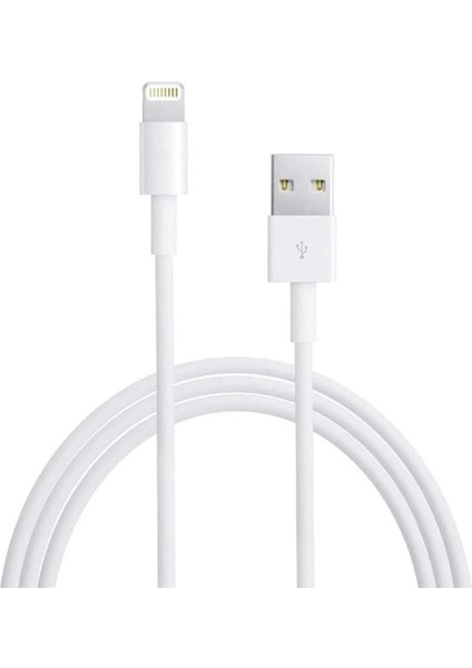 3 Metre 2A IPHONE Lıghtnıng Şarj ve Data Kablosu (4887)
