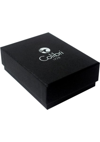 Falcon 3 Torch Pürmüz Metalik Gri Puro Çakmağı modelleri