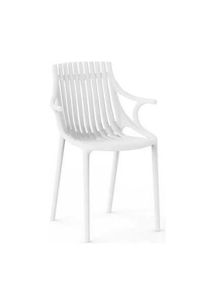 Monaco Sandalye 4 Lü Set