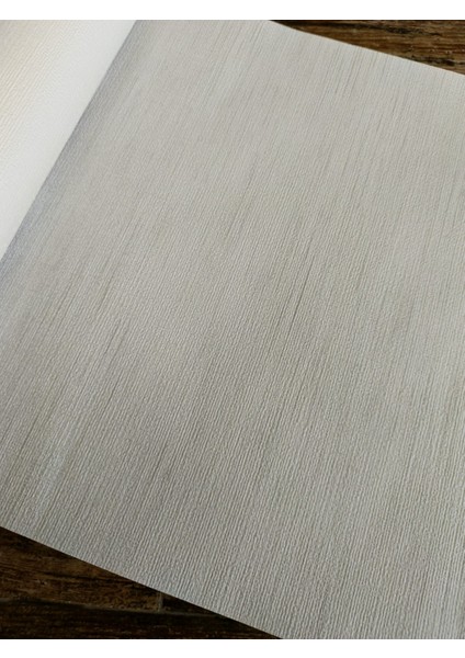 Buz Gri Kendinden Desenli Silinebilir Sade Duvar Kağıdı (Kabartmalı) 5m2