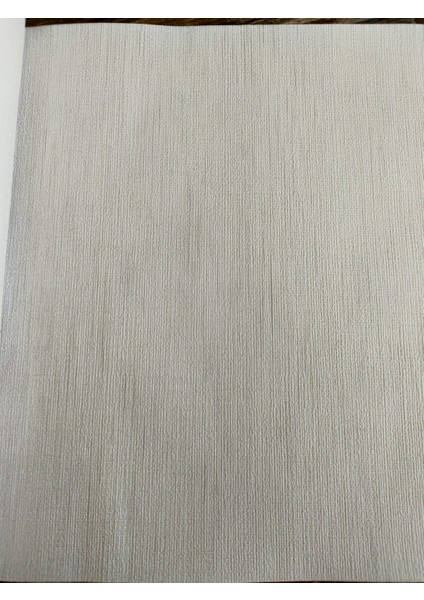 Buz Gri Kendinden Desenli Silinebilir Sade Duvar Kağıdı (Kabartmalı) 5m2 fiyatları