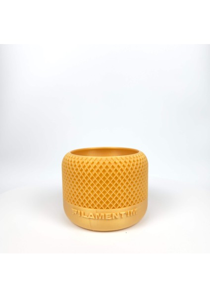 Pla Standart Champagne Shimmer Alt-07