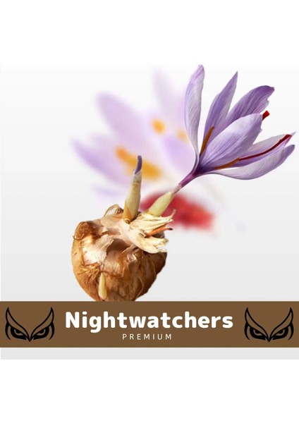 Deluxe Özel Dikime Hazır Yerli Üretim Büyük Boy Kalite Safranbolu Safran Bitkisi Soğanı - 3 Adet modelleri