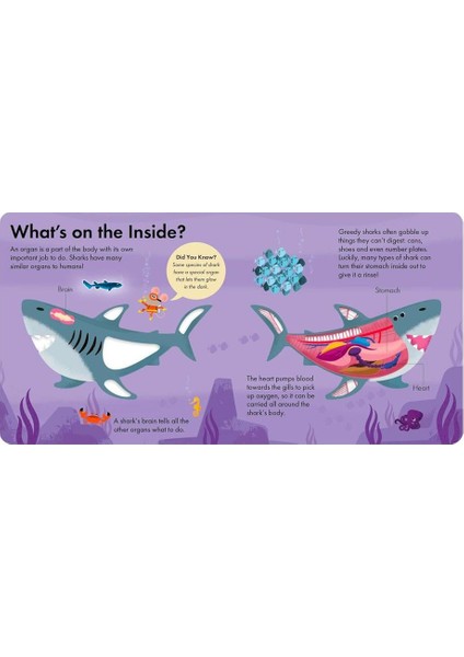 How It Works - Shark