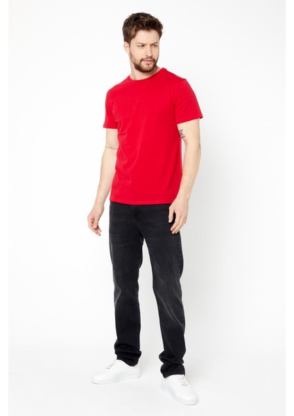 Erkek Çok Renkli T- Shirt Regular Fit Rahat Kesim Bisiklet Yaka Basic Tişört