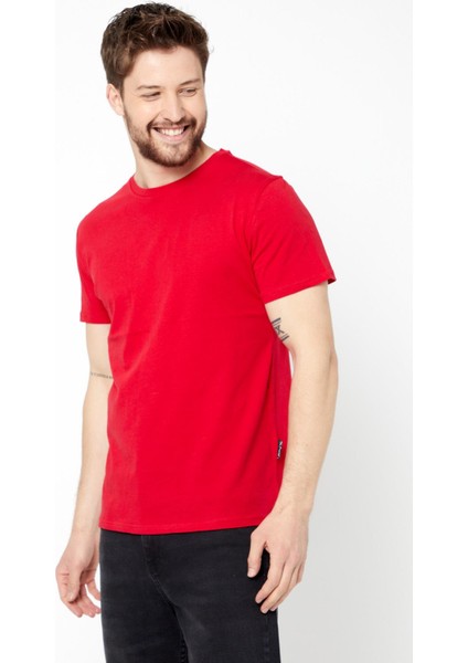Erkek Çok Renkli T- Shirt Regular Fit Rahat Kesim Bisiklet Yaka Basic Tişört modelleri
