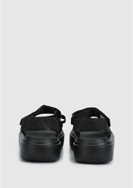 Slyn Kadın Siyah Sandalet.- fırsatları