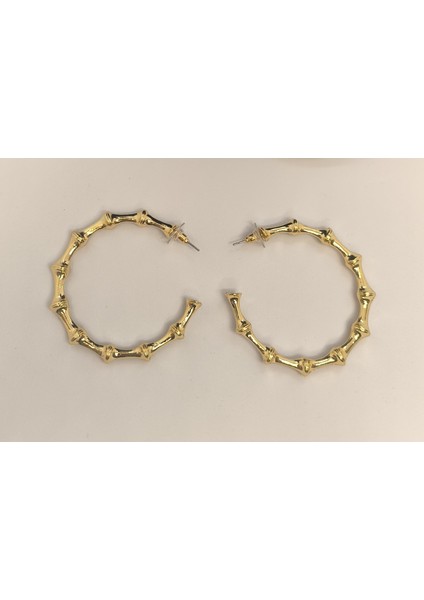 Serenay Halka Küpe fiyatları