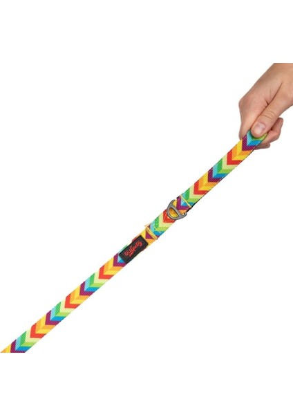 Kedi Köpek Sevk & Gezdirme Kayışı RAINBOW 130x2cm