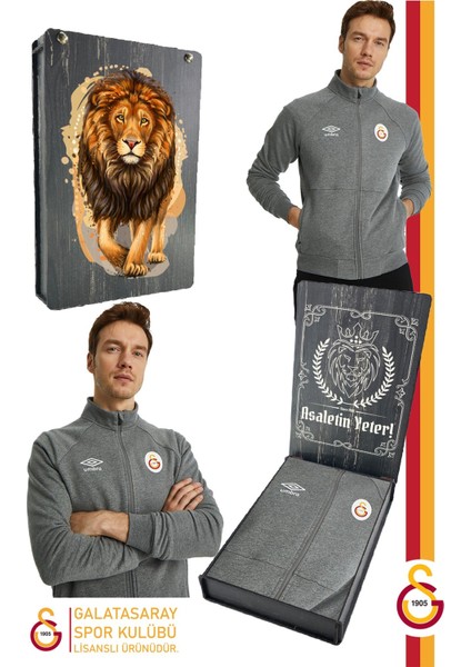 Lisanslı Dik Yaka Fermuarlı Gri Sweat Gs Aslan Baskılı