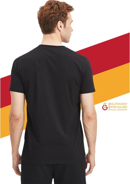 Lisanslı Siyah Basic T-Shirt + Şal Kaşkol Set Hediyelik Ahşap Kutulu fırsatları