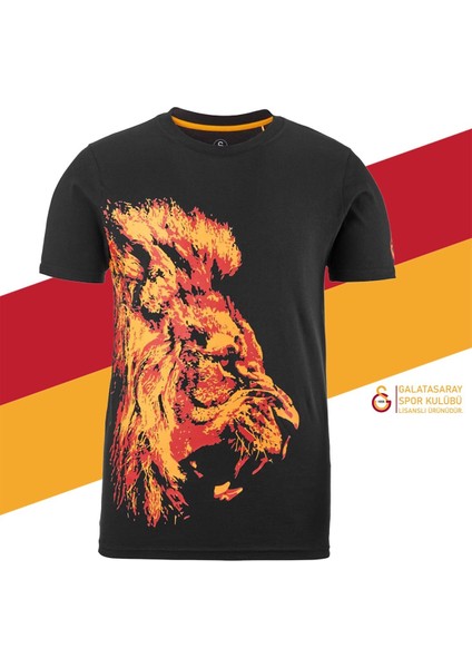 Orijinal Lisanslı Aslan Baskılı T-Shirt + Bileklik Set Hediyelik Ahşap Kutulu fiyatları
