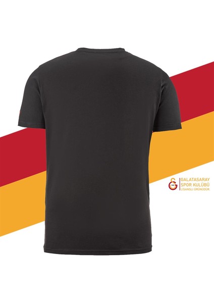 Orijinal Lisanslı Aslan Baskılı T-Shirt + Bileklik Set Hediyelik Ahşap Kutulu fırsatları