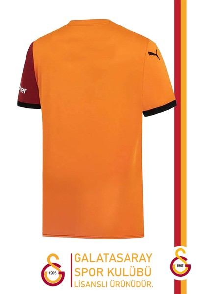 2024/2025 Parçalı Iç Saha Taraftar Forma Gs Aslan Baskılı Hediyelik Ahşap Kutulu modelleri