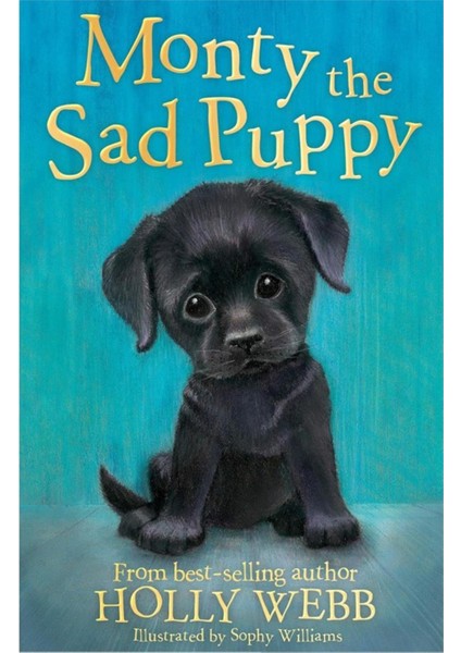 Holly Webb Animal Stories: Monty The Sad Puppy