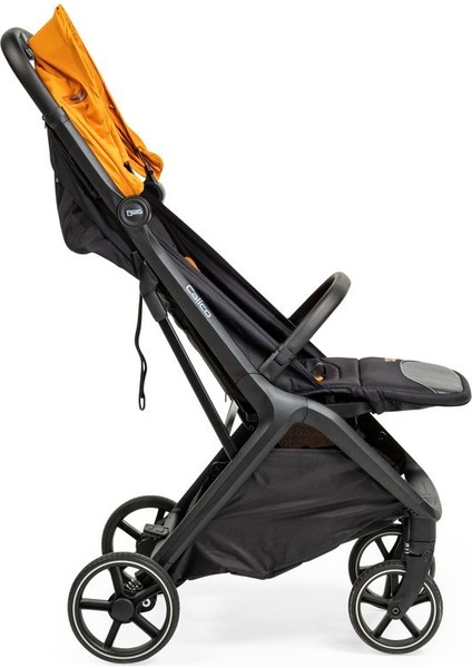 Calico Kabin Boy Bebek Arabası