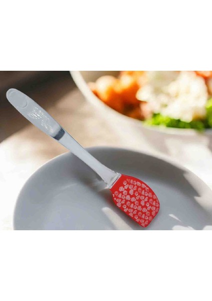 Silikon Uçlu Fırça ve Spatula Seti Yanmaz Yapışmaz