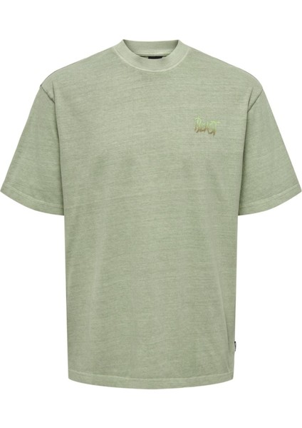 O Yaka Baskılı Erkek T-Shirt Onsmorgan Lıfe Rlx Gradıant Ss Tee 22029472