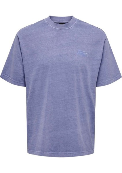 O Yaka Baskılı Erkek T-Shirt Onsmorgan Lıfe Rlx Gradıant Ss Tee 22029472