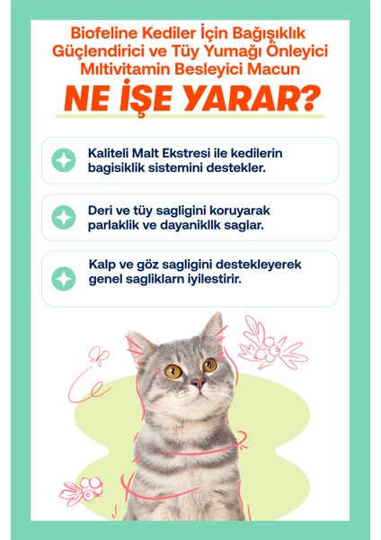 Plus B For Cat & Multi Paste 100 gr
