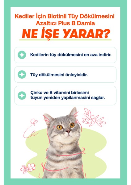 Plus B For Cat & Multi Paste 100 gr