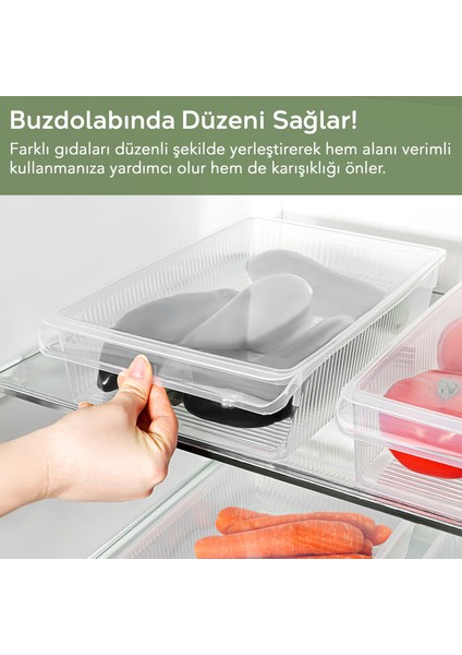 3 Adet Kapaklı Dolap Içi Buzdolabı Düzenleyici - Buzdolabı Organizer Meyve Sebze Saklama Kabı 4 Lt fırsatları