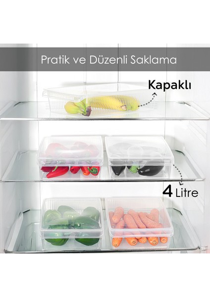 5 Adet Kapaklı Dolap Içi Buzdolabı Düzenleyici - Buzdolabı Organizer Meyve Sebze Saklama Kabı 4 Lt fiyatları