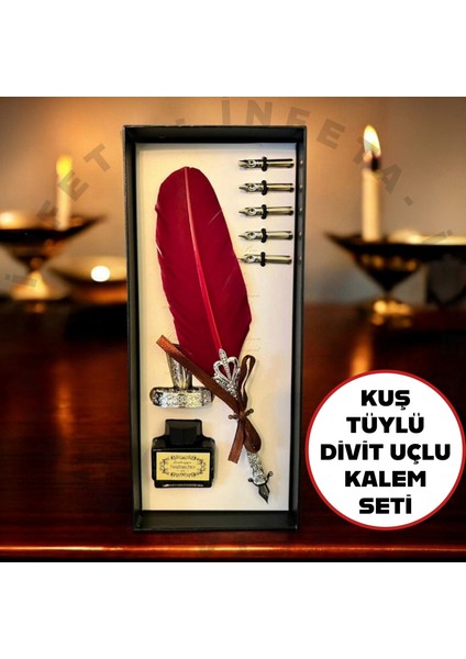 Hediyelik Taçlı Kuş Tüyü Divit Kalem Seti Şarap Rengi