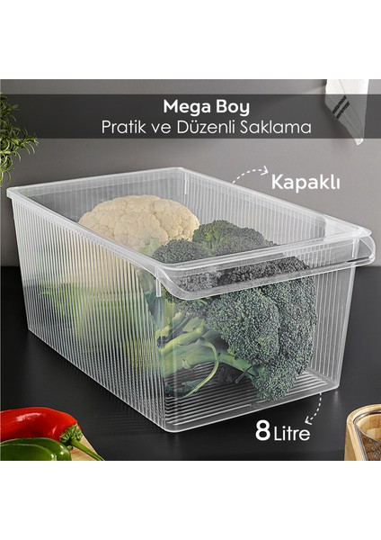 5 Adet Kapaklı Saklama Kabı - Organizer Düzenleyici Meyve Sebze Erzak Kabı Saklama Kutusu 8 Litre fiyatları
