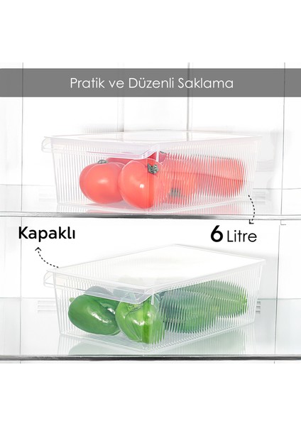2 Adet Kapaklı Saklama Kabı - Organizer Düzenleyici Meyve Sebze Erzak Kabı Saklama Kutusu 6 Litre fiyatları